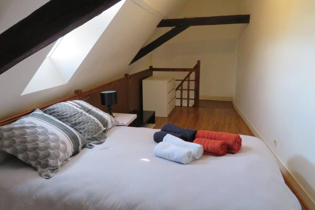 Loft De 53 M2 Centre Ville Blois,Tv Eksteriør billede